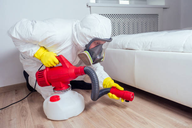 Best Emergency Pest Control  in Bells, TN